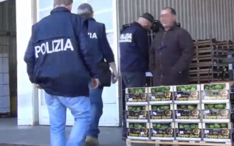 Furti e razzie nelle aziende agricole, controllate 250 persone, 95 sanzioni. Mille chili di ortaggi sequestrati