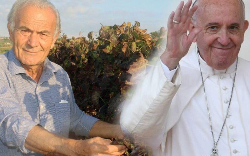 Ecco dove nasce il «vino del papa», viaggio tra i profumi e le tradizioni.