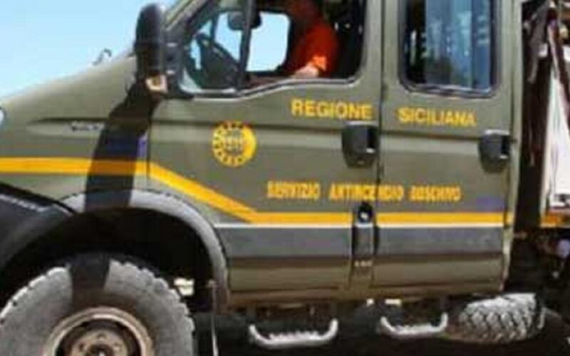 Niscemi: incendio nella valle della Stizza, le fiamme si spingono quasi fino al bosco. Maida dà l’allarme ai Forestali
