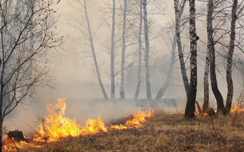 Niscemi: brucia la vegetazione in contrada Stizza, prime avvisaglie di una calda estate? Due incendi