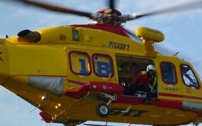 Marianopoli: bracciante assalito da sciame di vespe inferocite. Trasferito in ospedale con l’elisoccorso. È fuori pericolo