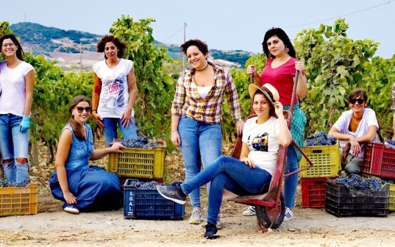 Niscemi, la «prof» e le amiche riscoprono la vendemmia. Progetto tutto al femminile