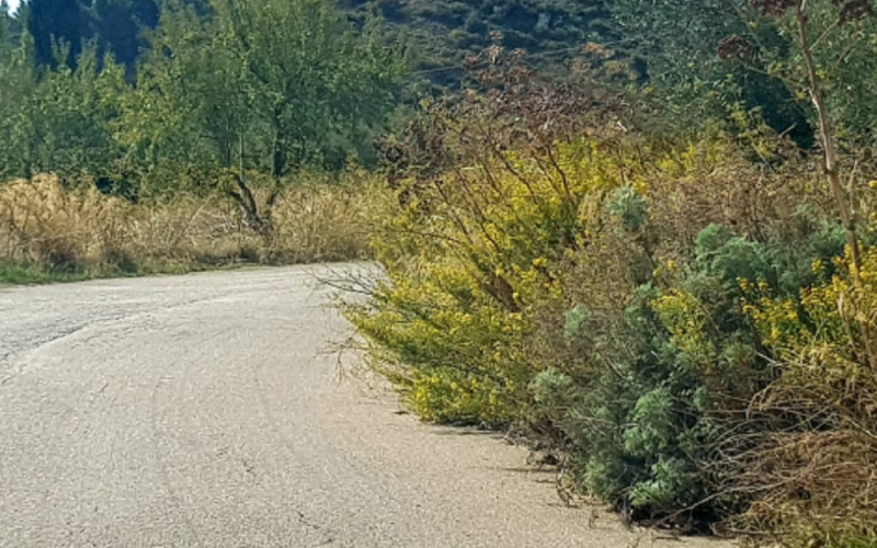 Marianopoli: vegetazione spontanea limita la visibilità , lunedì i lavori di diserbamento lungo le strade provinciali