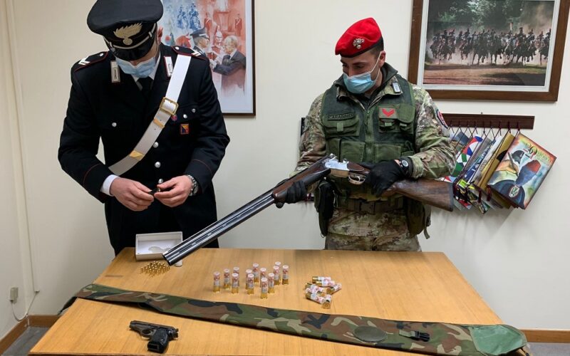 Riesi, Carabinieri in azione con cani del nucleo cinofili, «Vera» e «Derril» scovano mini arsenale in una stalla