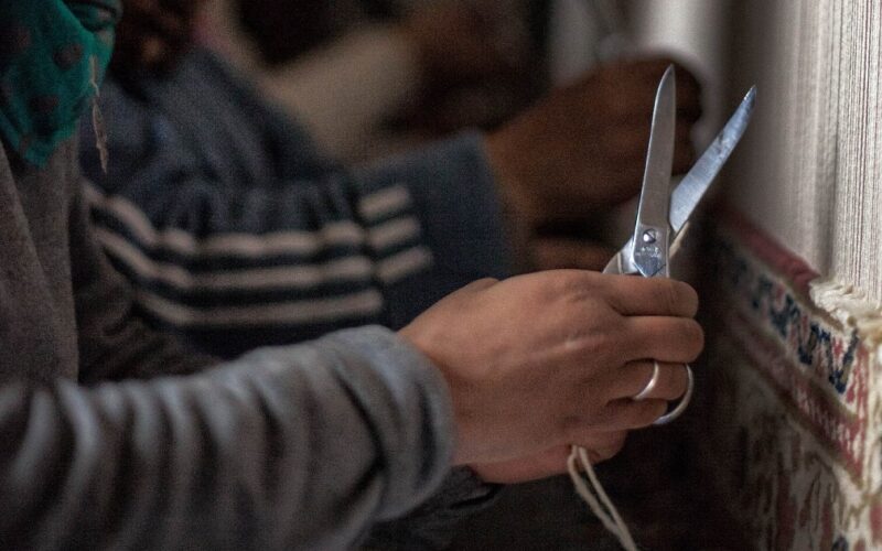 Salviamo il progetto Rosa dei Venti, oltre 500 firme in appena 24 ore a difesa del progetto di solidarietà sociale