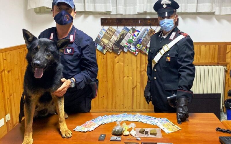 Niscemi: il garage come un bazar della droga. Cocaina, hashish e marijuana scovata dal cane «Riley». Un arresto