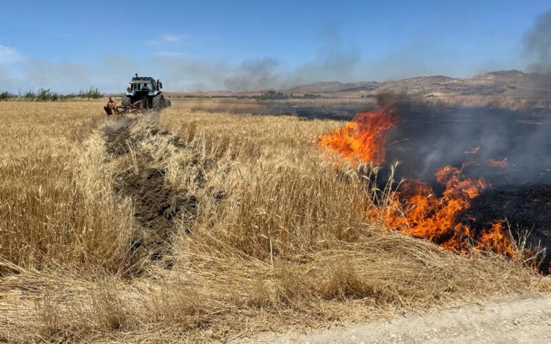 Gela: inarrestabile piaga degli incendi di grano, fiamme danneggiano campo di frumento in contrada Marabusca