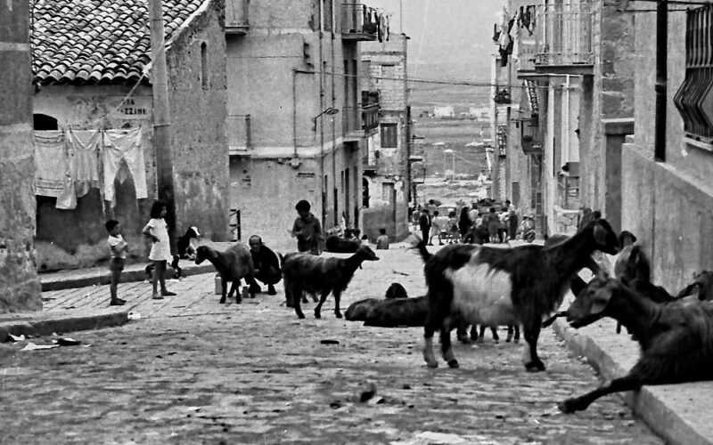 Gela, l’ambulante del latte in via Iudice