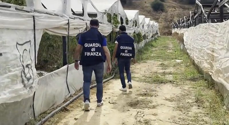 Gela, sequestrata «fabbrica» di cannabis, droga per un valore di 3,5 milioni di euro