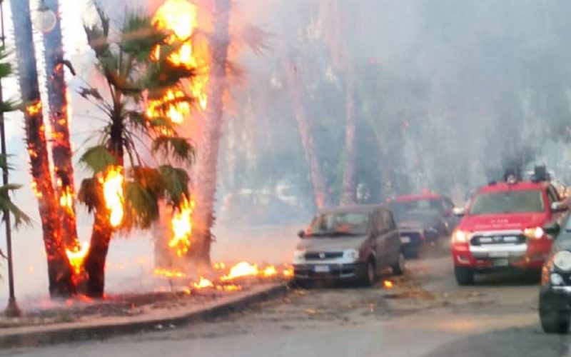 Gela, incendio distrugge quattro palme in via Ruggero Settimo. Paura anche per le autovetture in sosta
