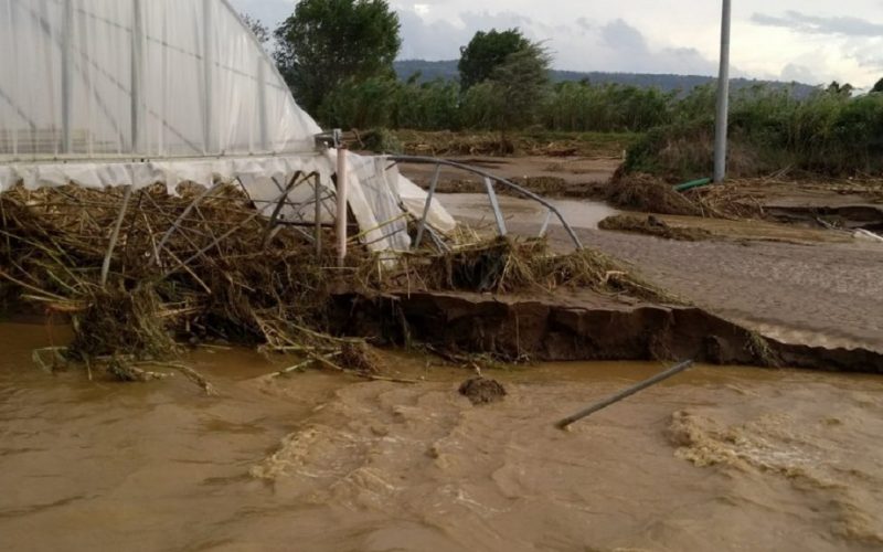 Gela, il fiume malato rischia nuove piene. Allarme alluvioni di Attiva Sicilia. «Intervenire prima che sia troppo tardi»