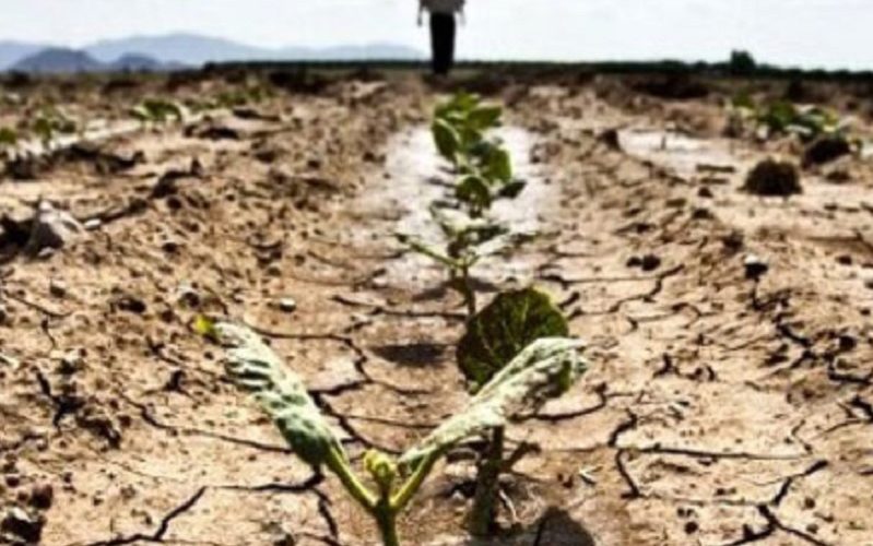 Niscemi: campi a secco, neppure una goccia d’acqua. Conti: «Si apra l’erogazione della Disurei»
