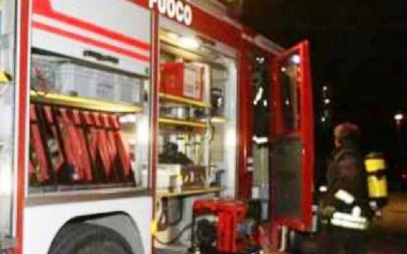 Incendio in un maneggio, è strage di cavalli. Si indaga sulle cause del rogo