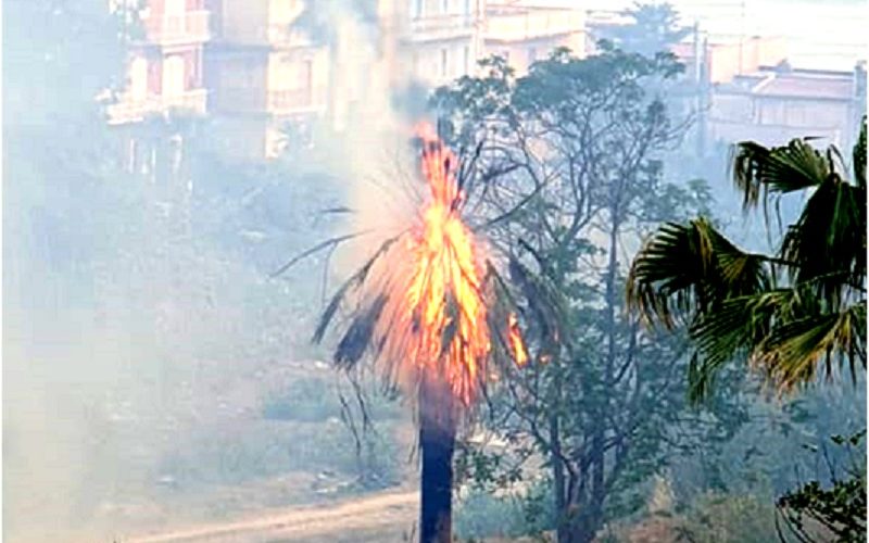 Gela, fuoco distrugge palme all’Orto Pasqualello. In fiamme bosco a Monte Erice