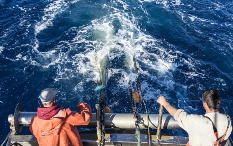 Federazione armatori denuncia: «Atti di pirateria nei confronti dei nostri pescatori»