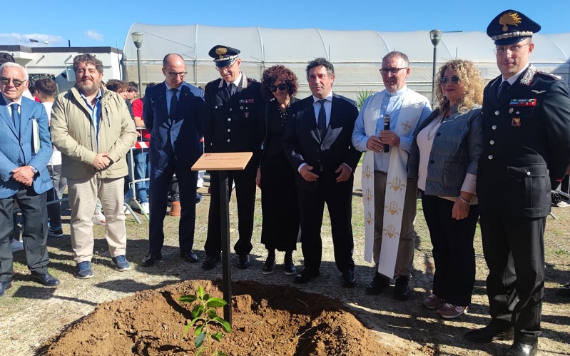 Niscemi, l’albero di Falcone crescerà nel giardino della scuola. Cerimonia al «Da Vinci»