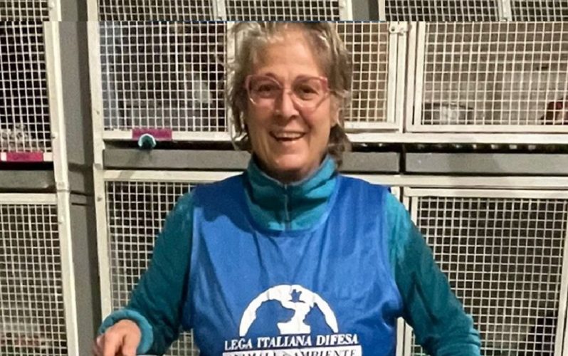 Da Gela a Como, una storia di solidarietà . Sei gatti scampati al fuoco avranno una famiglia