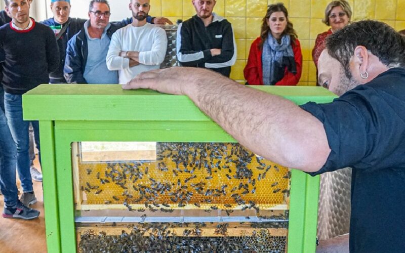 Le pregiate mandorle di Butera, il prezioso miele di Mazzarino. Tour nel cuore della Sicilia Bio