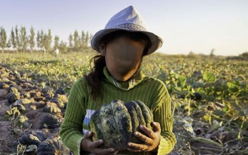 Da Gela a Pachino, piccoli schiavi invisibili. La denuncia di Save the Children