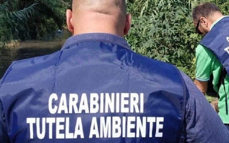 Gela: puzza di pesce marcio, Carabinieri del Noe, Municipale e Arpa avviano accertamenti