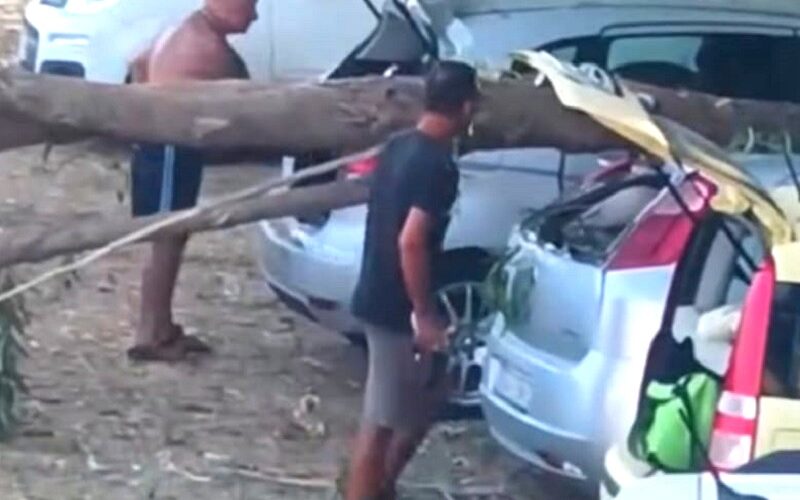 Gela, albero si abbatte sul parcheggio dei bagnanti. Danni solo ai mezzi, illese le persone
