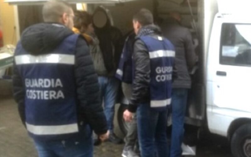 Furgone carico di prodotti ittici non conformi. Scatta maxi multa, il pescato finisce in discarica