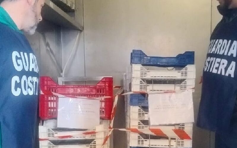 Pesca di novellame, reti illegali su tre motobarche. Sequestri pure in depositi e punti vendita