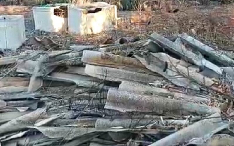 Niscemi: il bosco prova a rinascere, ma viene soffocato da amianto e rifiuti agricoli